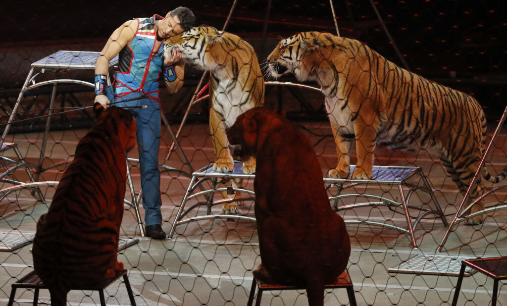 I’m not allowing my kids near the circus and here’s why: