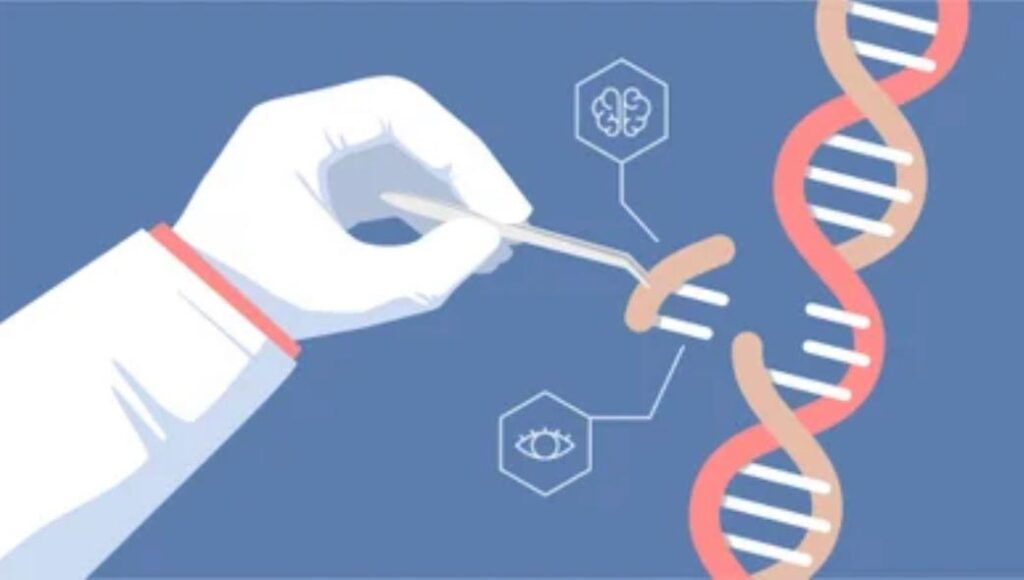 CRISPR: A history of Genome Editing and Female Discovery
