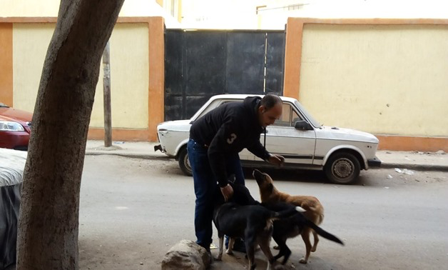 Animal Cruelty & Egypt: The 1 Incident That Stopped People This Week