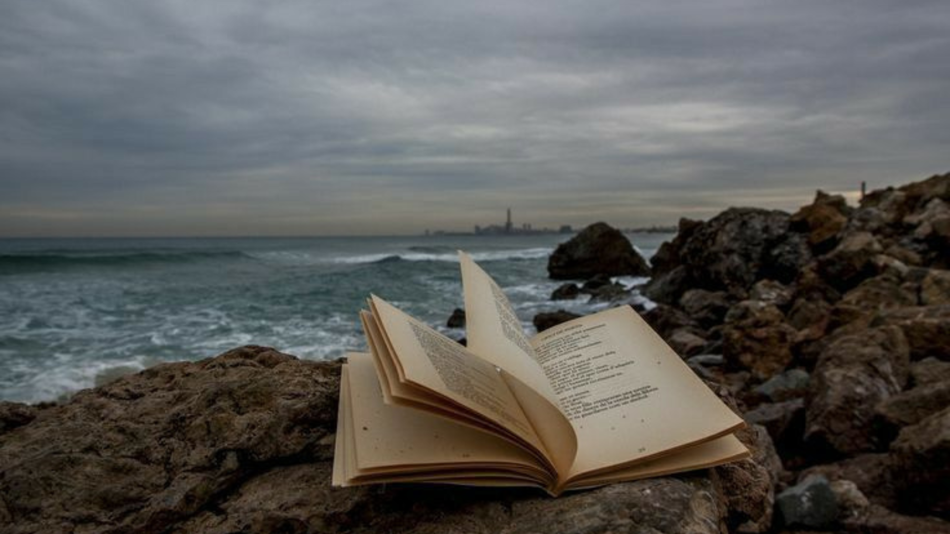 book with a sea view
